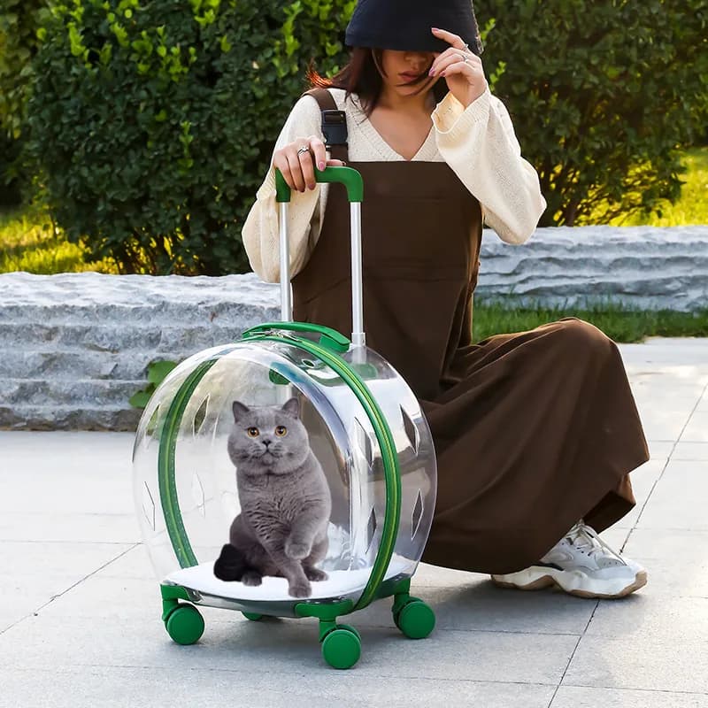 Trolley Valigia Trasportino Borsa da trasporto trasparente per animali domestici Trasportatori per gatti Trasportare e passeggini Gabbia per gatti con ruote Prodotti per animali domestici