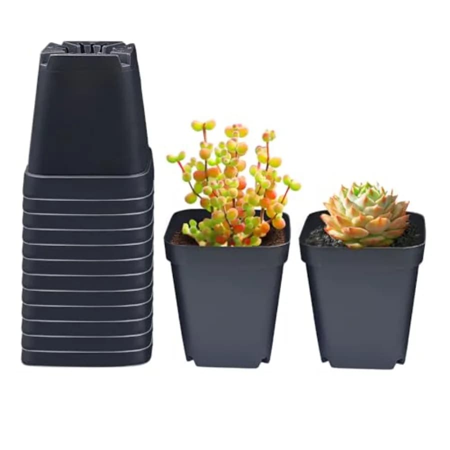 Square Vases for Semenzaio, 90 Pieces, in Plastic Mass for Germination Semi and Propagation Plants, Robusts and Suitable for