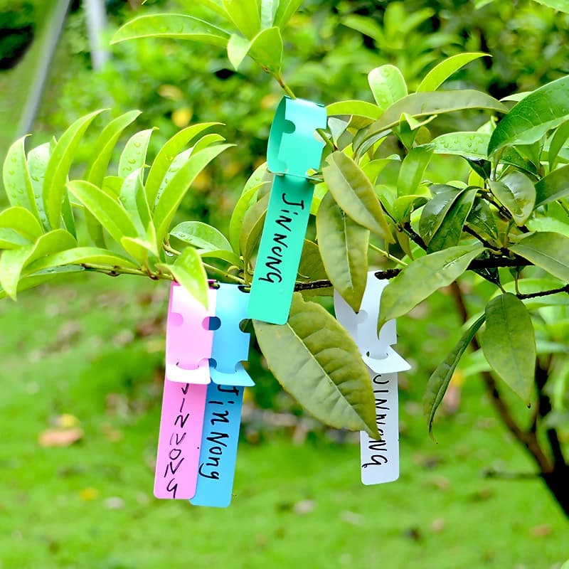 Anello per etichetta da 50 pezzi Anello per etichetta per pianta orticola Supporto per anello per identificazione di fiori per piantine impermeabili in PVC
