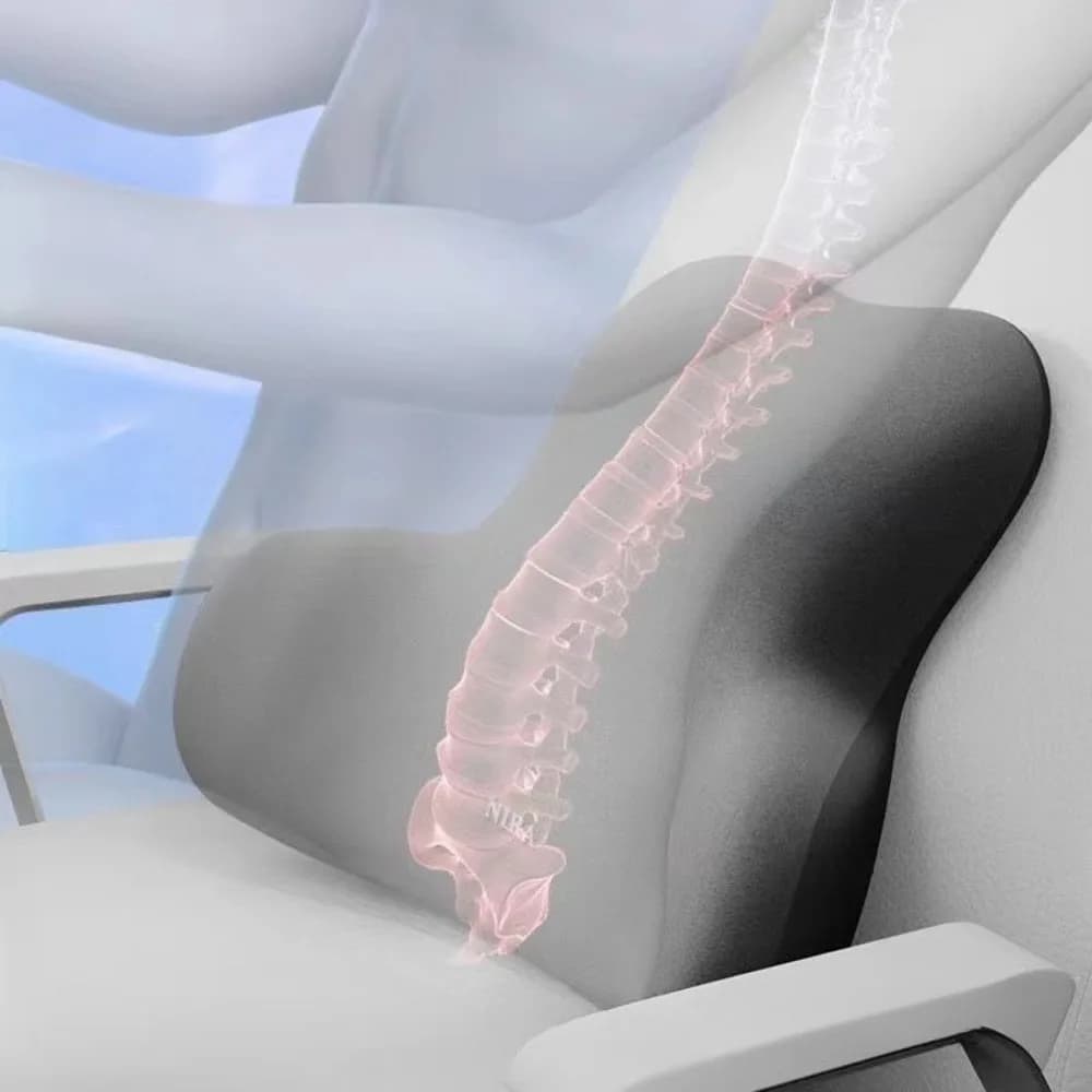 Adjustable Lumbar Bearing for Office Chair, Ergonomic Back Support, Workplace Bearing