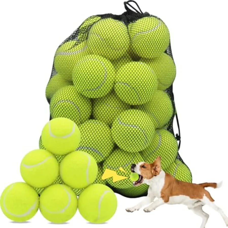 Palline da tennis cigolanti per cani, 2,5 pollici, per allenamento ed esercizio, con borsa a rete per il trasporto, facili da trasportare, gialle, confezione da 60.