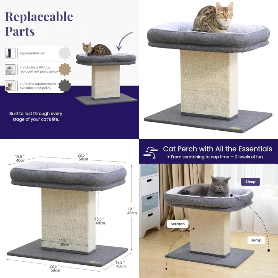 Mellow Albero per Gatti a 2 Livelli da 19 Pollici con Ampio Letto Lavabile e Sostituibile, Grande Palo in Sisal, Montaggio Rapido, Costruito per Durare, Ideale per Gatti di Piccola Taglia