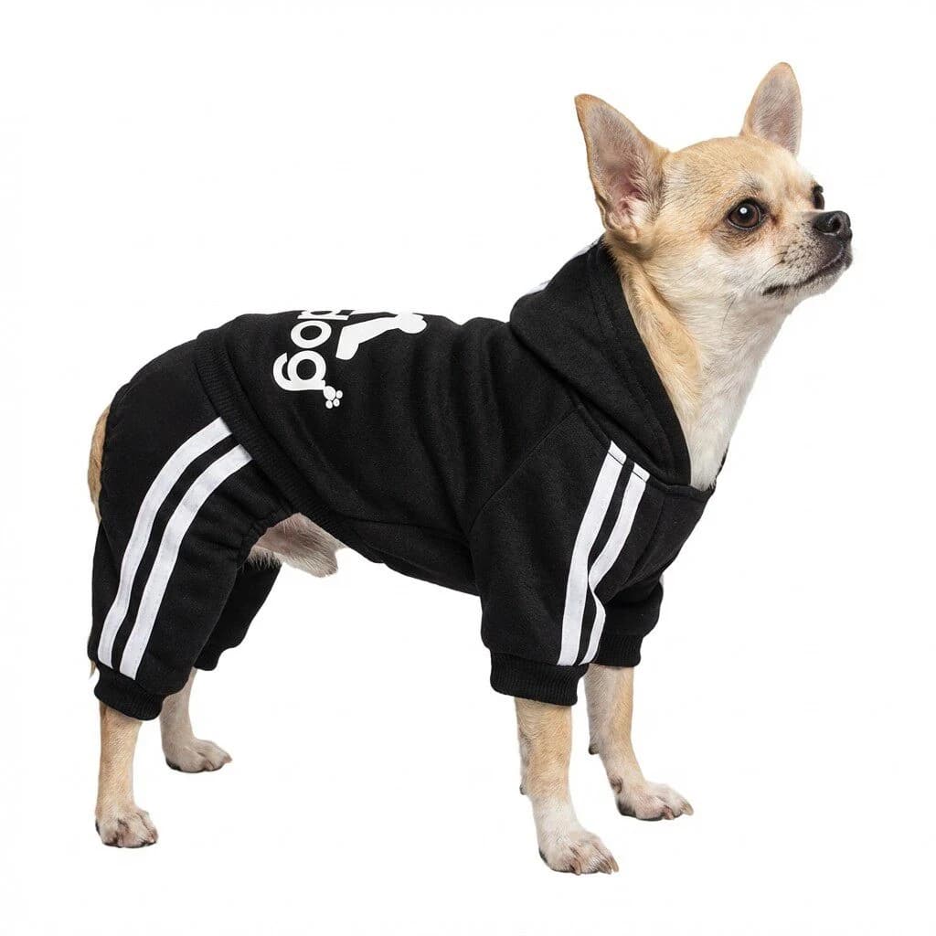 Felpa Classica alla Moda per Cani, Abbigliamento per Animali Domestici con Design a Quattro Zampe, Maglione per Cuccioli di Taglia Piccola e Media