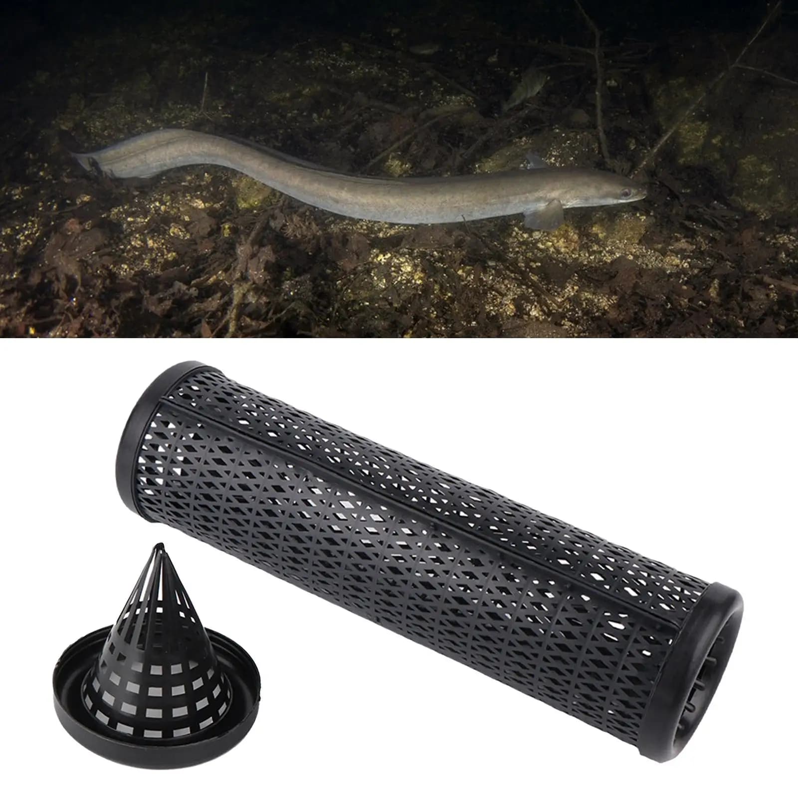 Gabbia da pesca Rete da esterno Cestino riutilizzabile Strumento da pesca Leggero Anguilla Gabbia Anguilla Catcher per Loach Minnow Aringhe Crawdad