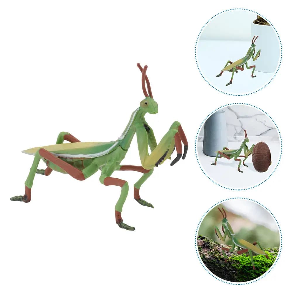 1 Pezzo Mantis in Plastica, Insetto Realistico Simulato, Decorazione da Scrivania, Giocattolo Educativo, Decorazione per Casa e Ufficio, Statuetta di Mantis