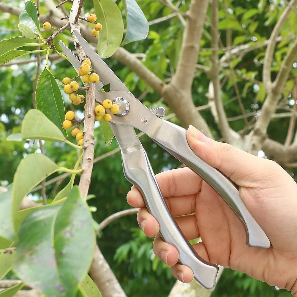 Large silver pruning shears entirely made of straight-headed steel – ideal for fruit trees, bonsai and flowers | Garden scissors for heavy loads