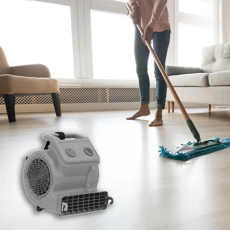 TD-903 mini Asciugatrice per gabbie per animali domestici Asciugatrici per toelettatura per animali Deumidificatore multifunzionale per soffiatore d'aria per danni causati dall'acqua