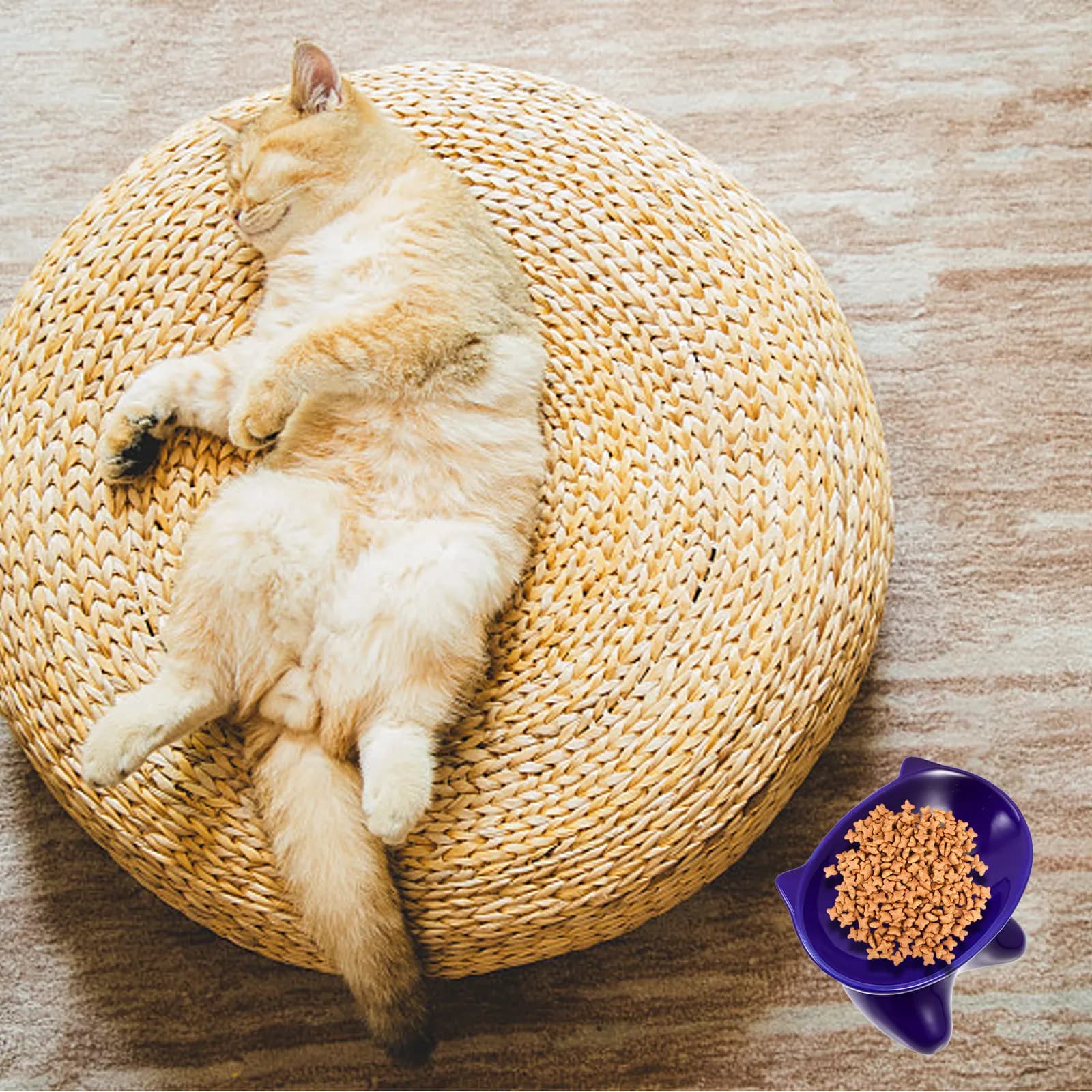 Ciotola in Ceramica a Forma di Gatto con Design Inclinato, Antiscivolo, per Cibo e Acqua, Facile da Pulire, Sicura per Animali Domestici