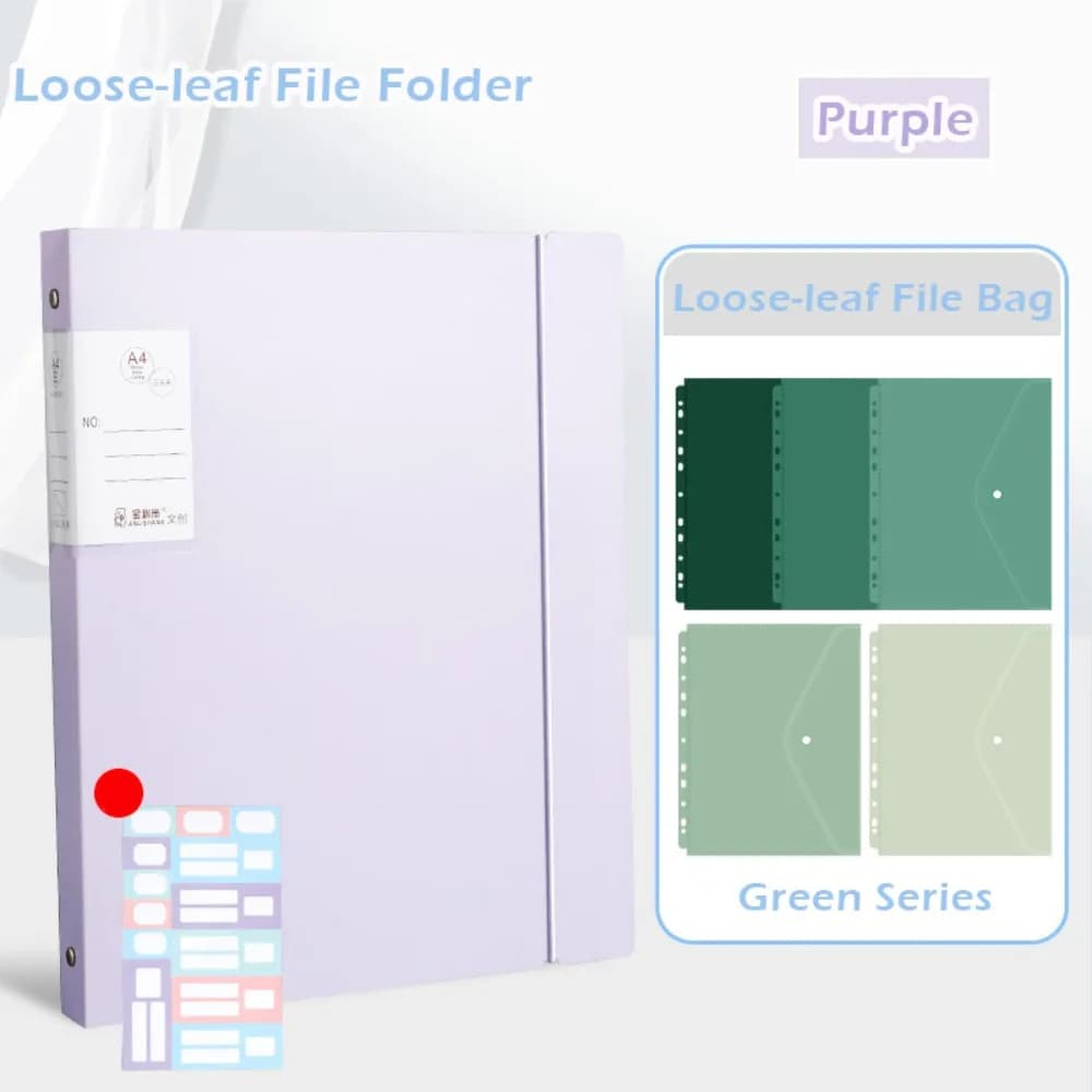 Set di Cartelle Portadocumenti a Fogli Mobili, Design Semplice, Impermeabili in PP, Clip per Conservazione Documenti, per Scuola e Ufficio