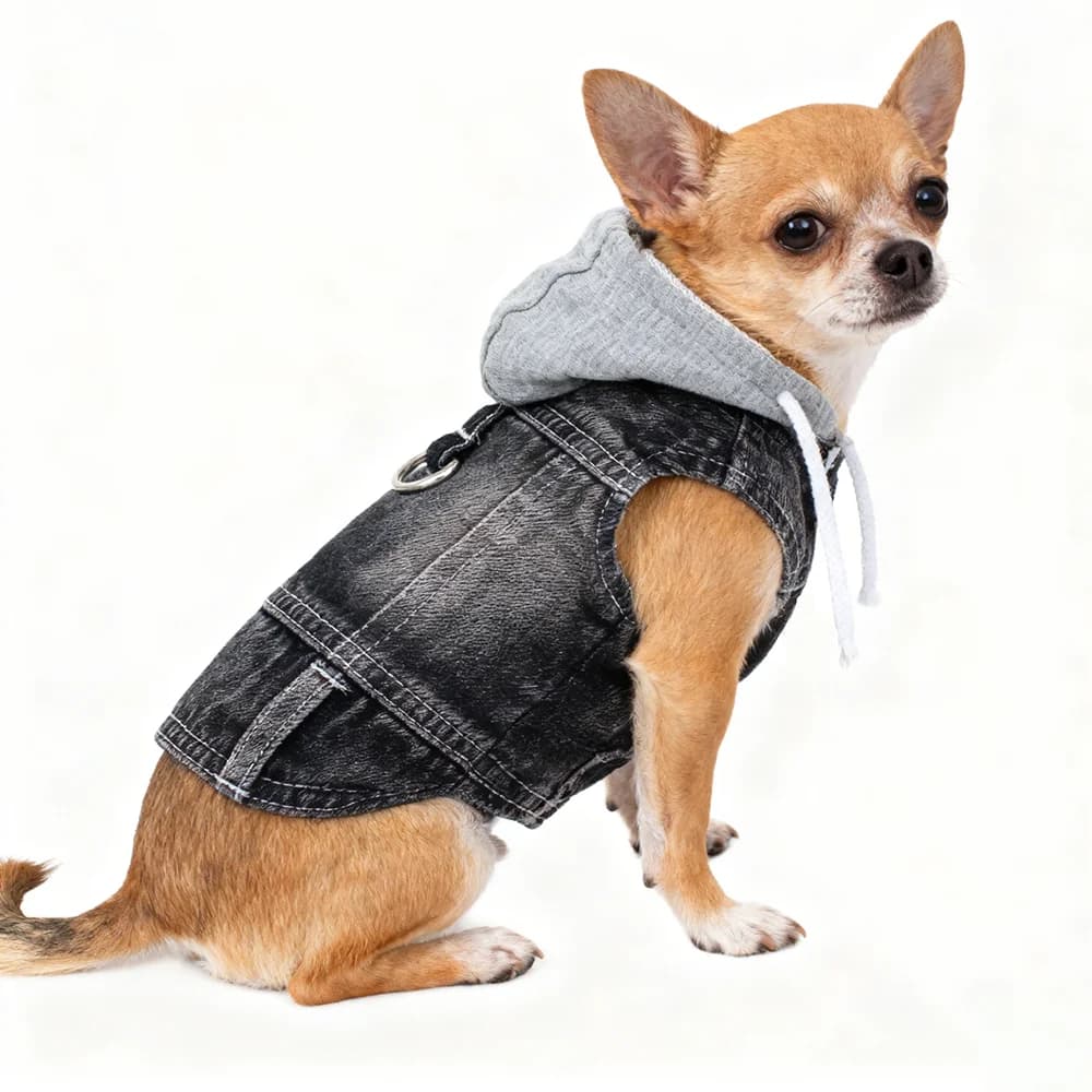 Gilet giacca di jeans per cani con anello a D Abiti per cuccioli di jeans blu per cani di taglia piccola e media Gatti Ragazzo Cappotto per cuccioli maschi per camminare