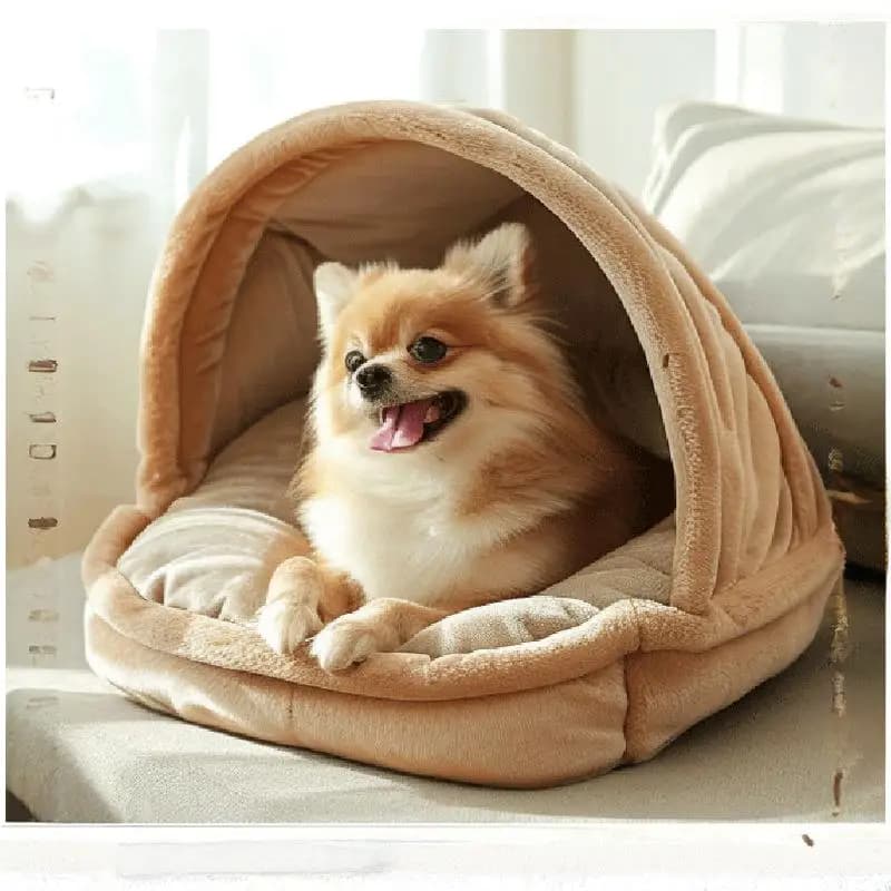 Cuccia per Cani Smontabile e Lavabile, Taglia Piccola, Calda per l'Inverno, Letto per Cani Teddy, Casa per Animali Domestici Universale per Tutte le Stagioni, per Gatti e Cani