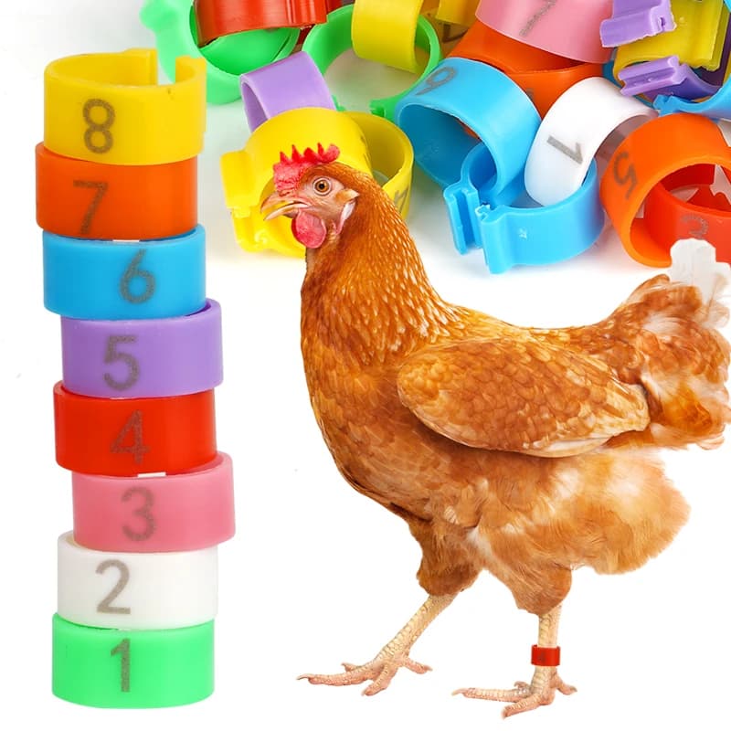 50Pcs 16/20Mm Chicken Duck Leg Rings with Number Animal Identification Tool for Poultry Sign Foot Loop Buckle Clip Farm Supplies