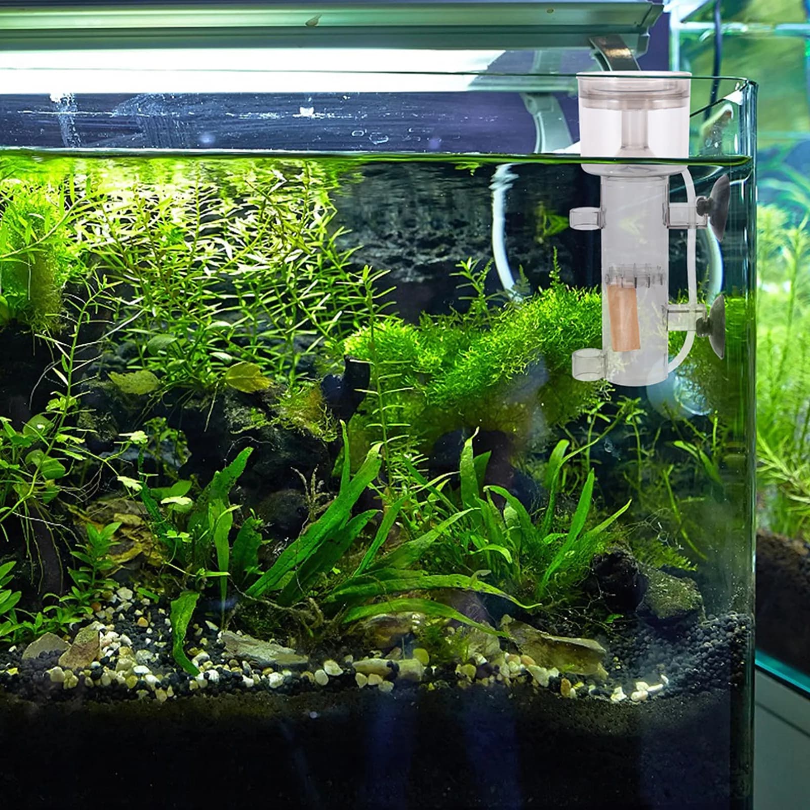 2 pz. Schiumatoio Proteico, Aeratore a Bolle in Legno, Filtro Spugna per Acquario, Diffusore di Aria, Nano Bubbler per Acqua Salata e Dolce