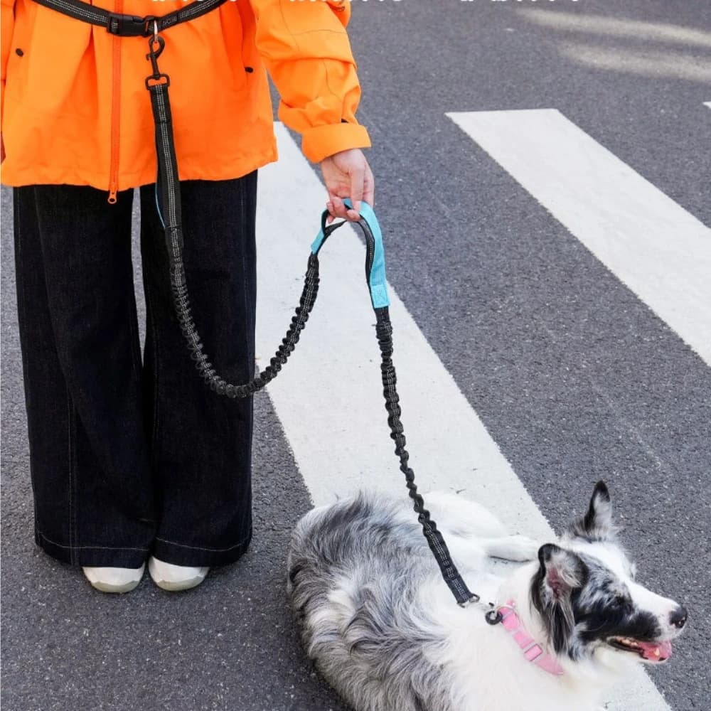 Hands-Free Dog Running Leash, High Elasticity Bungee Pet Walking Cord, Shock-Absorbing Waist Belt Harness for Jogging
