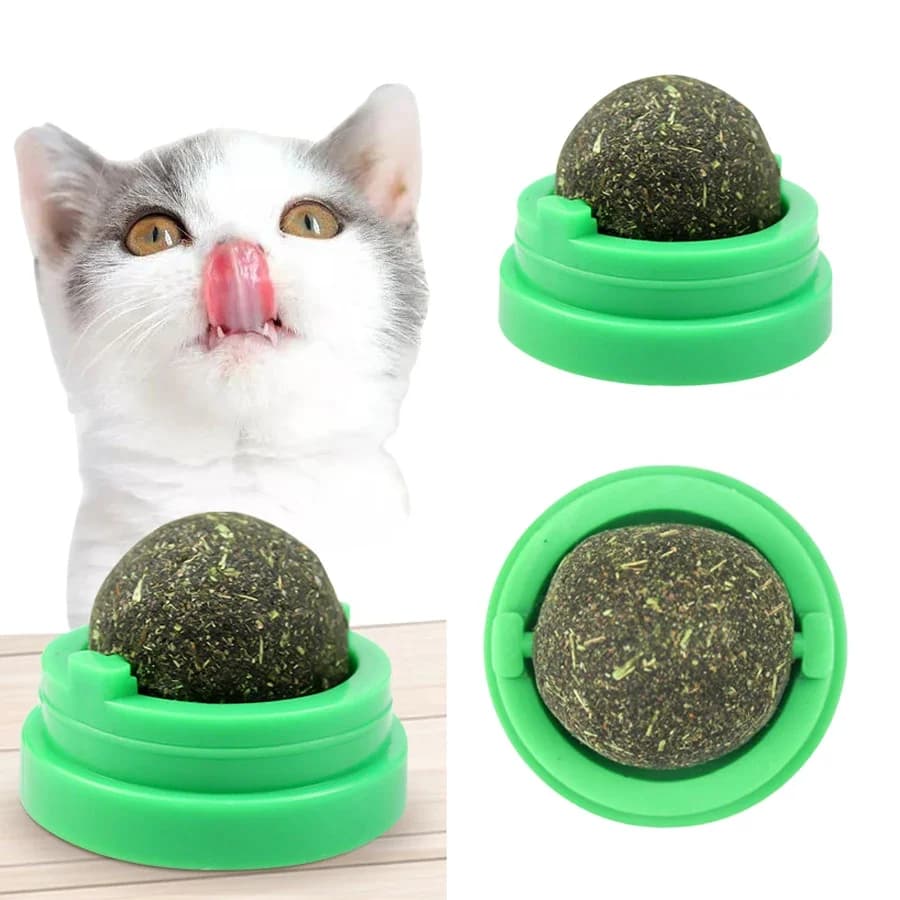Palla di menta con erba gatta rotante per gatti, giocattolo da masticare interattivo per cure dentistiche con erba gatta naturale, giocattoli per gatti con gattino per il controllo delle palle di pelo