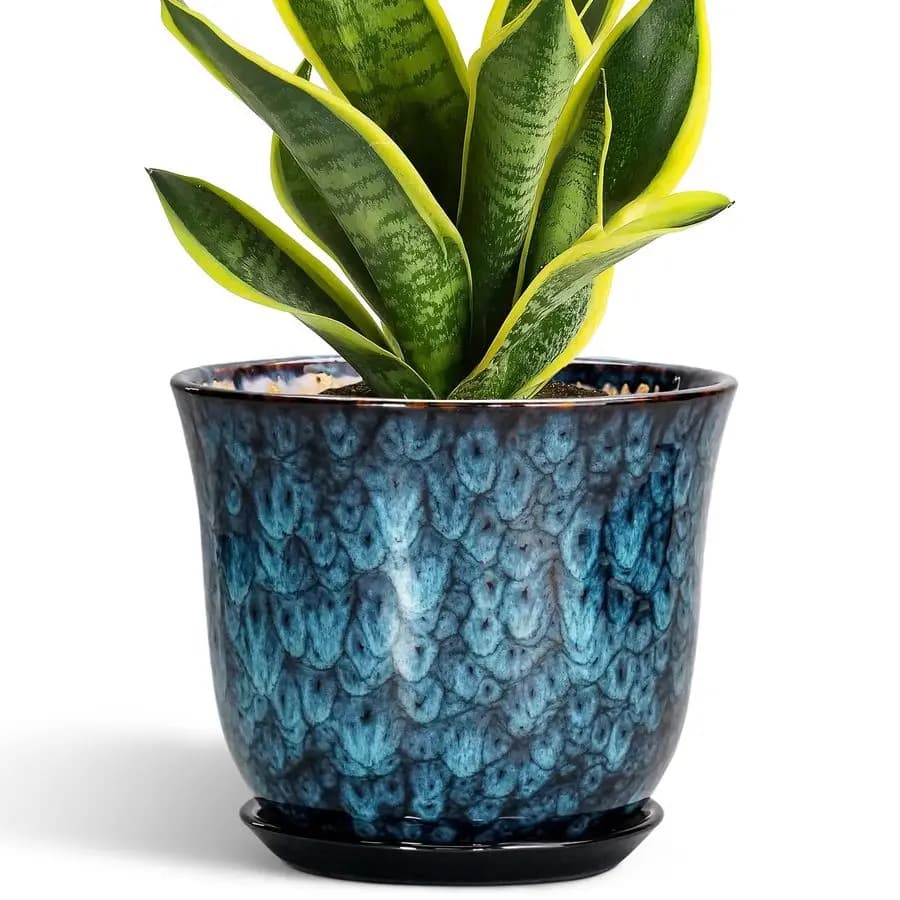 Vase for Ceramic Plants 8 Inches for Interior and Exterior, Round Planter with Drainage Forum and Submerged, Modern Vases, Flowers