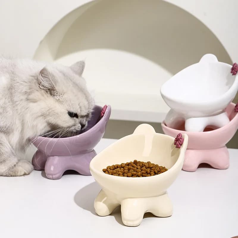 Ciotola per cibo per gatti inclinata in ceramica Ciotola per gatti rialzata Piatto per cibo per gatti ergonomico Ciotola per cibo per gatti rialzata anti vomito antiscivolo per cani gatti