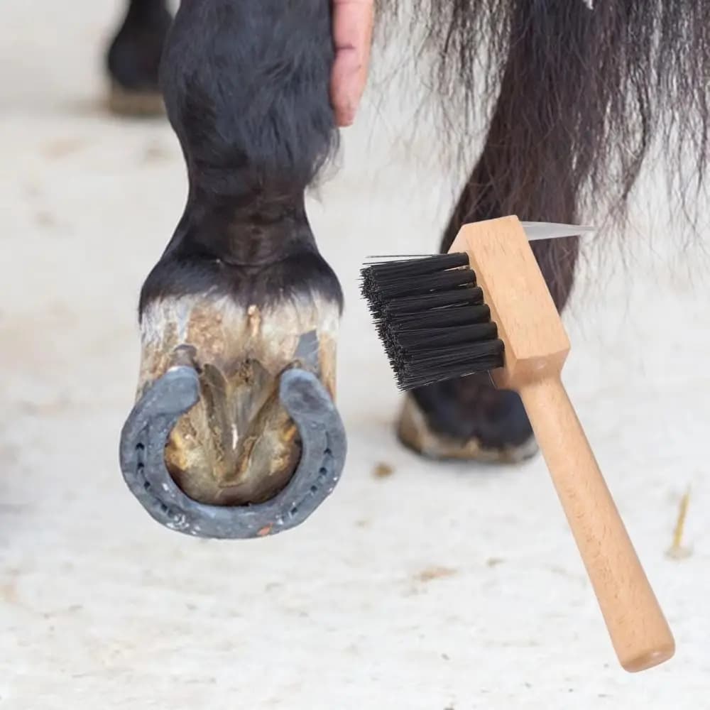 Manico in legno Cavalli Pick per zoccoli Spazzola per toelettatura Strumenti agricoli Spazzola per pulizia zoccoli Spazzola per zoccoli Rifilatura del piede Cavalli Toelettatura Pick