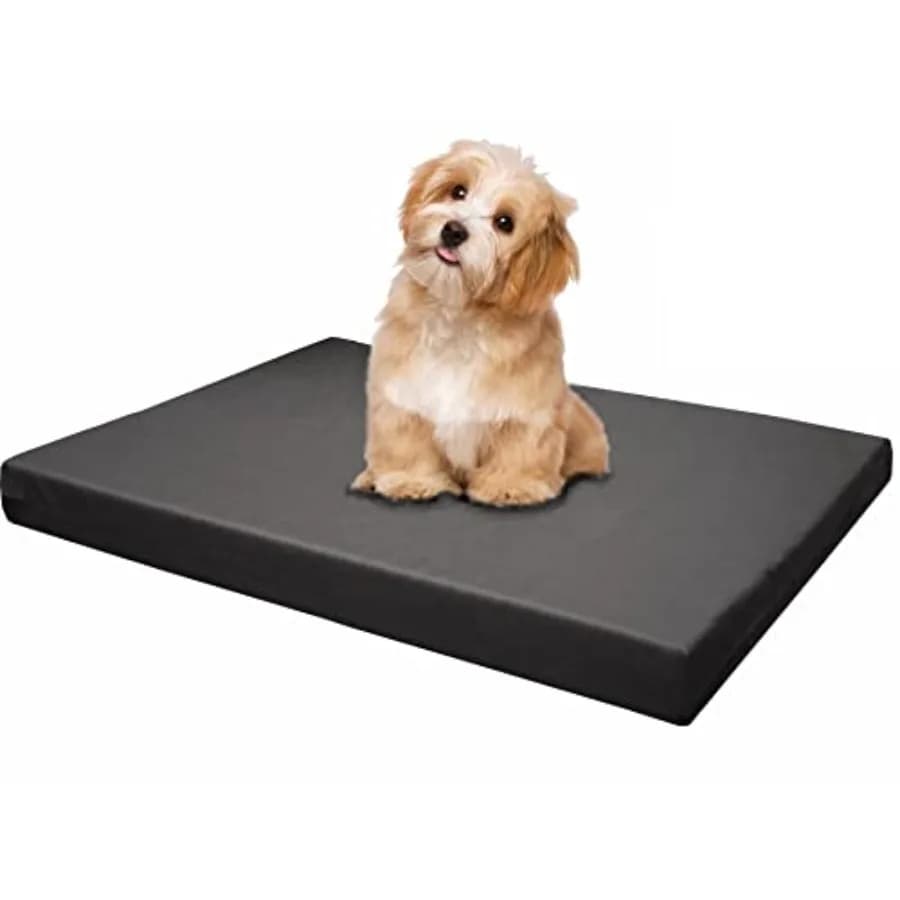 Materasso Ortopedico in Memory Foam per Cuccia o Gabbia per Cani, con Rivestimento Impermeabile Rimovibile, Extra Large 45X27X3