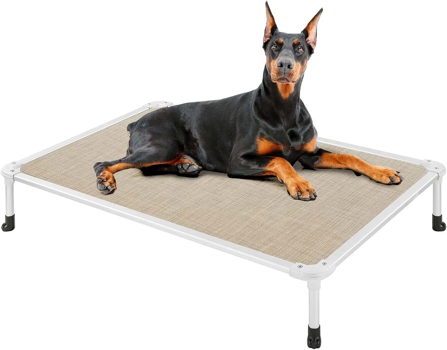 Cuccia Rialzata Anti-Morso per Cani con Rete Rinfrescante, Telaio in Alluminio Resistente e Piedini Antiscivolo per Uso Interno/Esterno - X-Large Beige