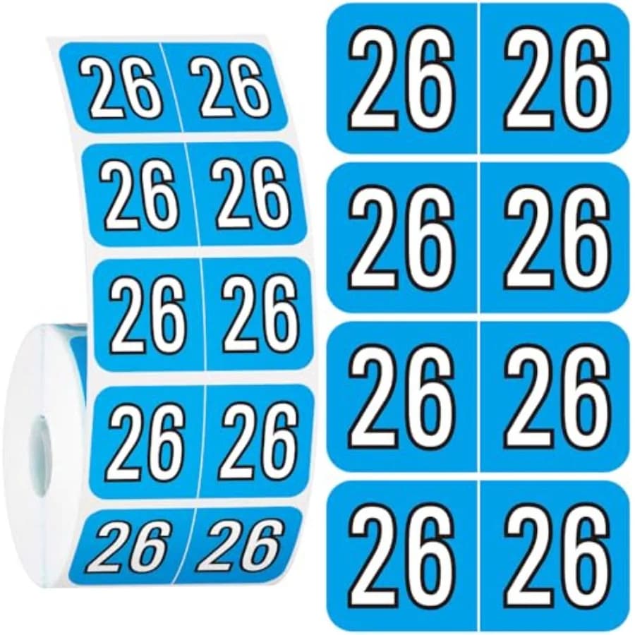 500 Pezzi Etichette Adesive Rettangolari Codificate e Colorate per Cartelle Anno 2026, per Archiviazione e Forniture per Ufficio