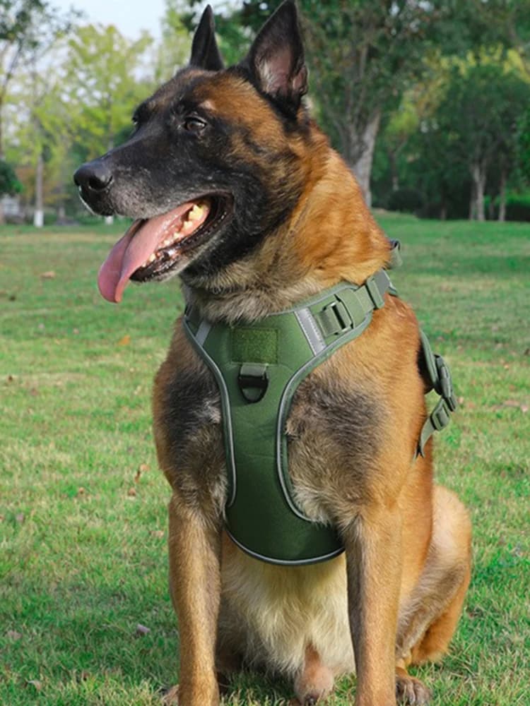Imbracatura Tattica a Gilet per Cani di Taglia Media e Grande, Guinzaglio per Cani all'Ingrosso per Passeggiate