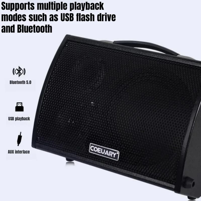Altoparlante professionale in legno da 8 pollici 100W Amplificatore per chitarra elettrica Sistema audio per strumenti per bassi esterni Altoparlante Bluetooth HIFI