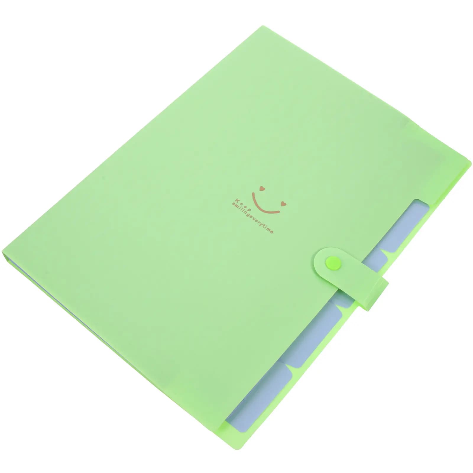 Cartella Portadocumenti a Fisarmonica con 5 Tasche, Formato A4, in Plastica Resistente, Organizzatore Documenti con Chiusura a Bottone a Pressione per Casa, Ufficio, Scuola