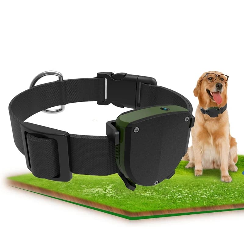 Localizzatore GPS per animali domestici con supporto per collare per cani Posizionamento multimodale RYDTD-05D