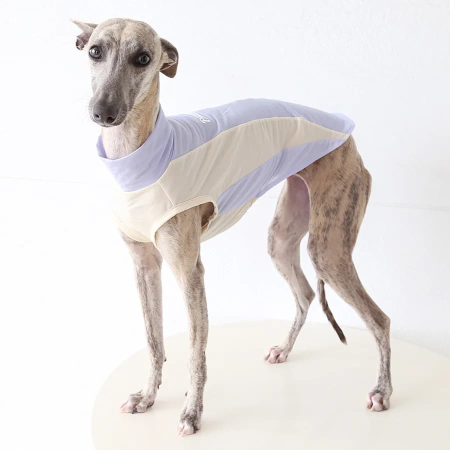 Lightweight Quick-drying Sunscreen Dog Vest, Breathable Pet Clothing For Italian Greyhound, Summer Sun Protection Apparel