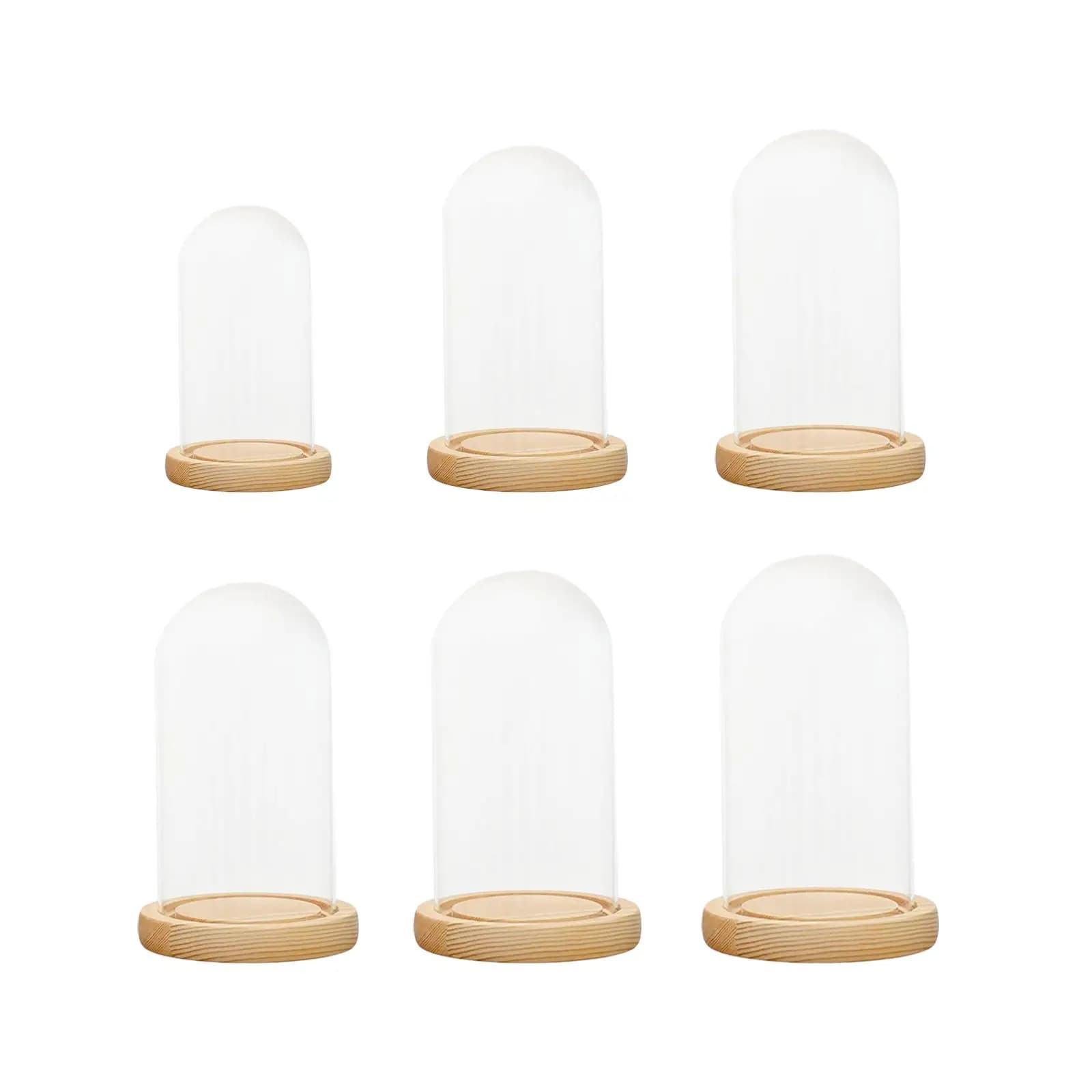 Clear Glass Dome Cover Stand with Wood Base Home Decor Accent Piece Portable Practical Durable Decorative Round for Home Office