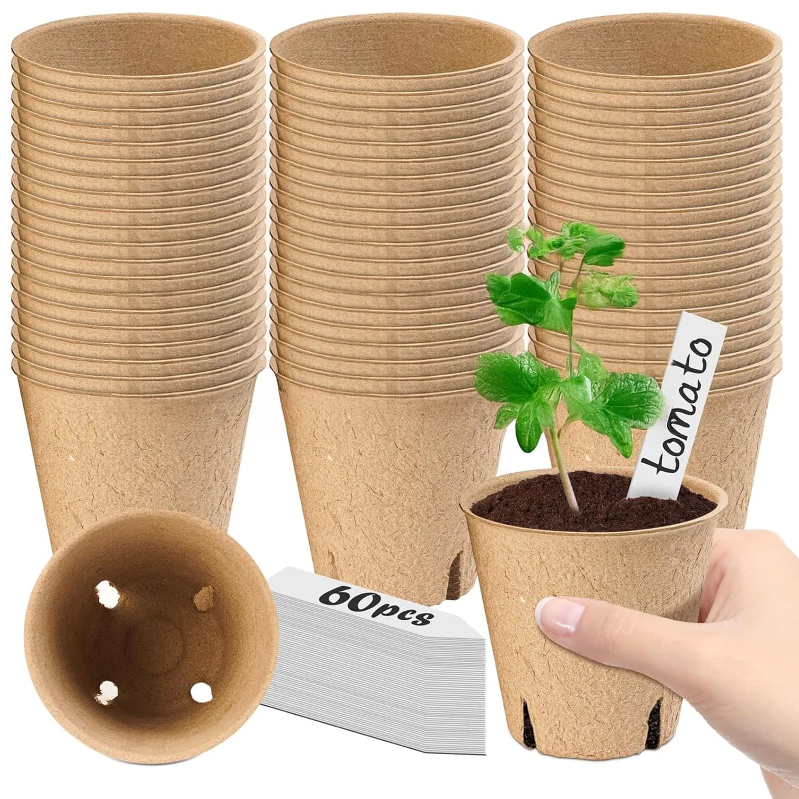 60 Vases for Semina, Trays for Growing, Containers for Plants, Flowers and Herbs, Biodegradable and Ecological, Garden Tools