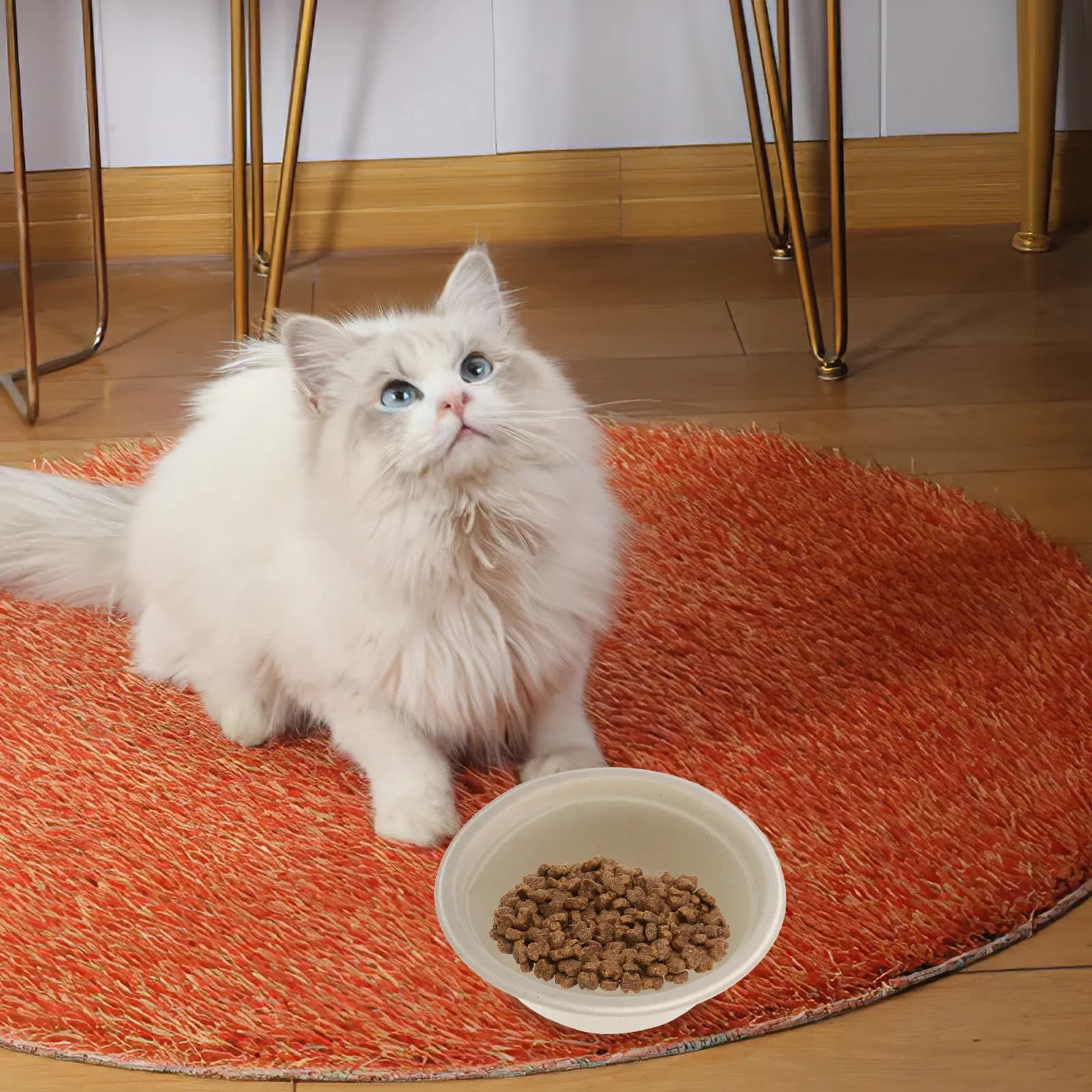Ciotola Monouso per Gatti in Materiale Resistente, Contenitore per Cibo e Acqua per Piccoli Animali, Pratica Ciotola per Alimentazione di Gatti, Cuccioli e Gattini