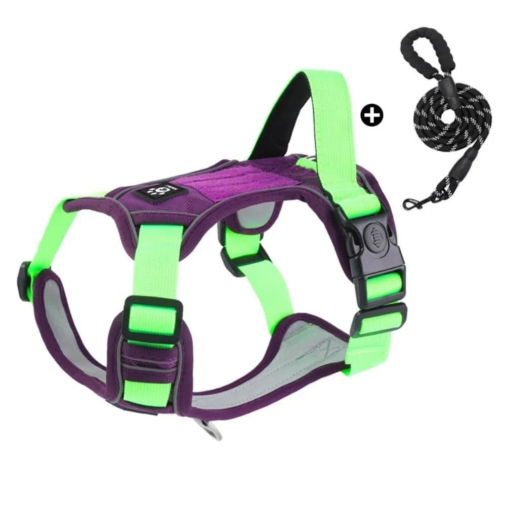Pettorina per Cani Leggera con Regolazione Multipunto Anti-Trazione, Riflettente, Comoda, Traspirante, per Passeggiate Quotidiane