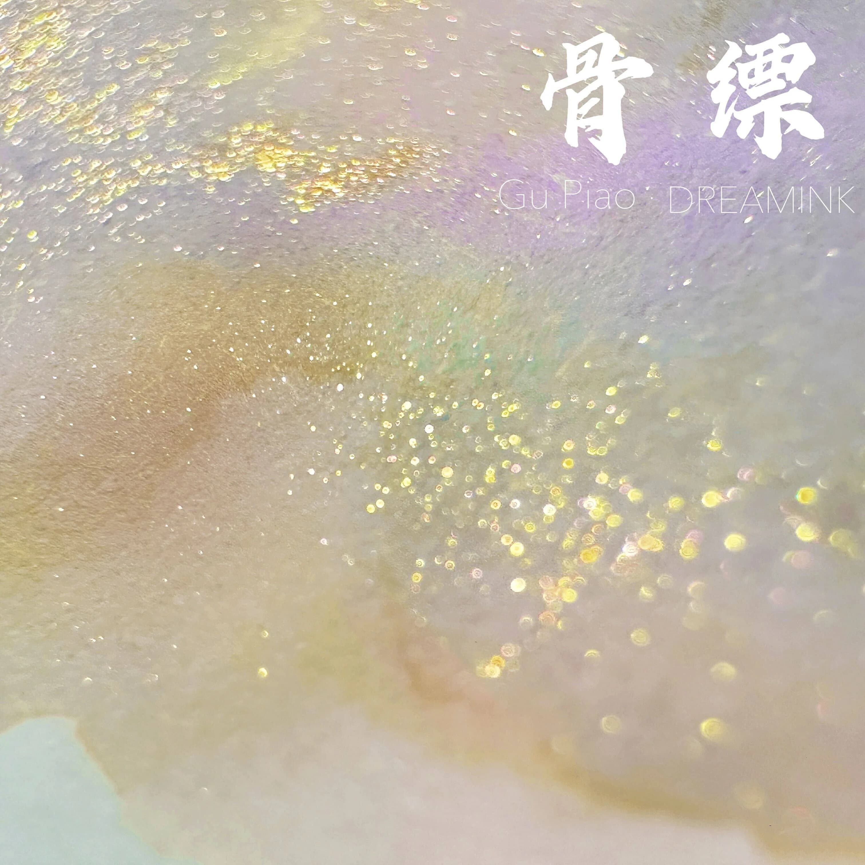 DREAMINK Gupiao Color Sheen Fountain Pen Ink 5/20ml Shimmer Calligraphy Drawing Ink Office School Supplies Stationery