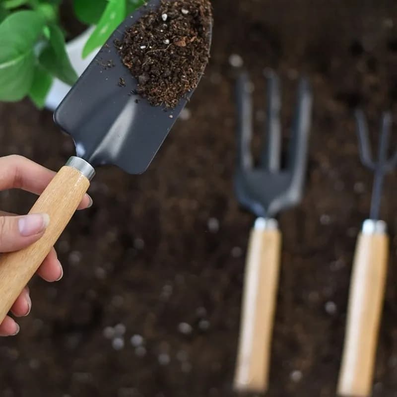 Set di 6 Mini Pale da Giardino, Piccole Palette in Ferro per Allentare il Terreno e Cura delle Piante in Vaso