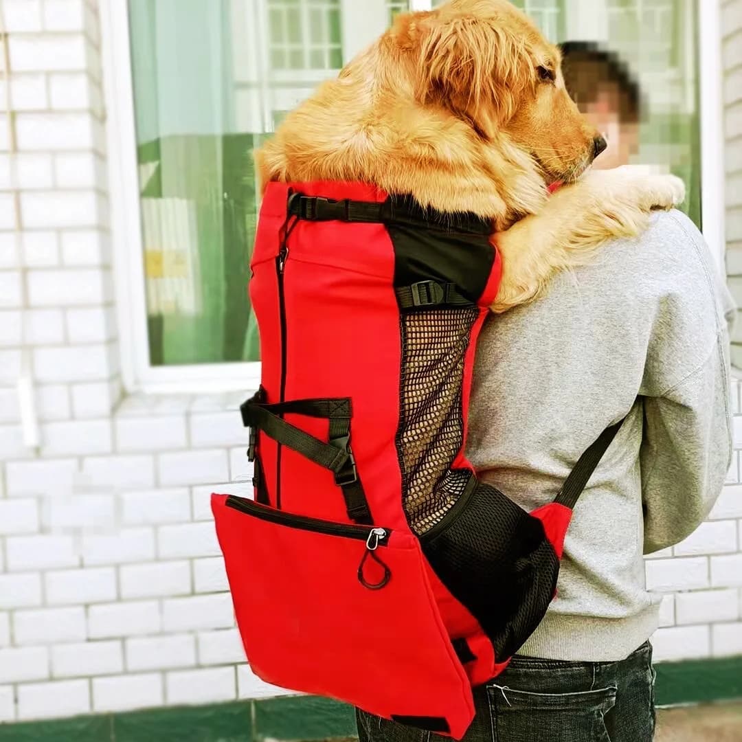 Borsa per il trasporto del cane pieghevole trasportino per zaino per cani da compagnia per viaggi all'aperto