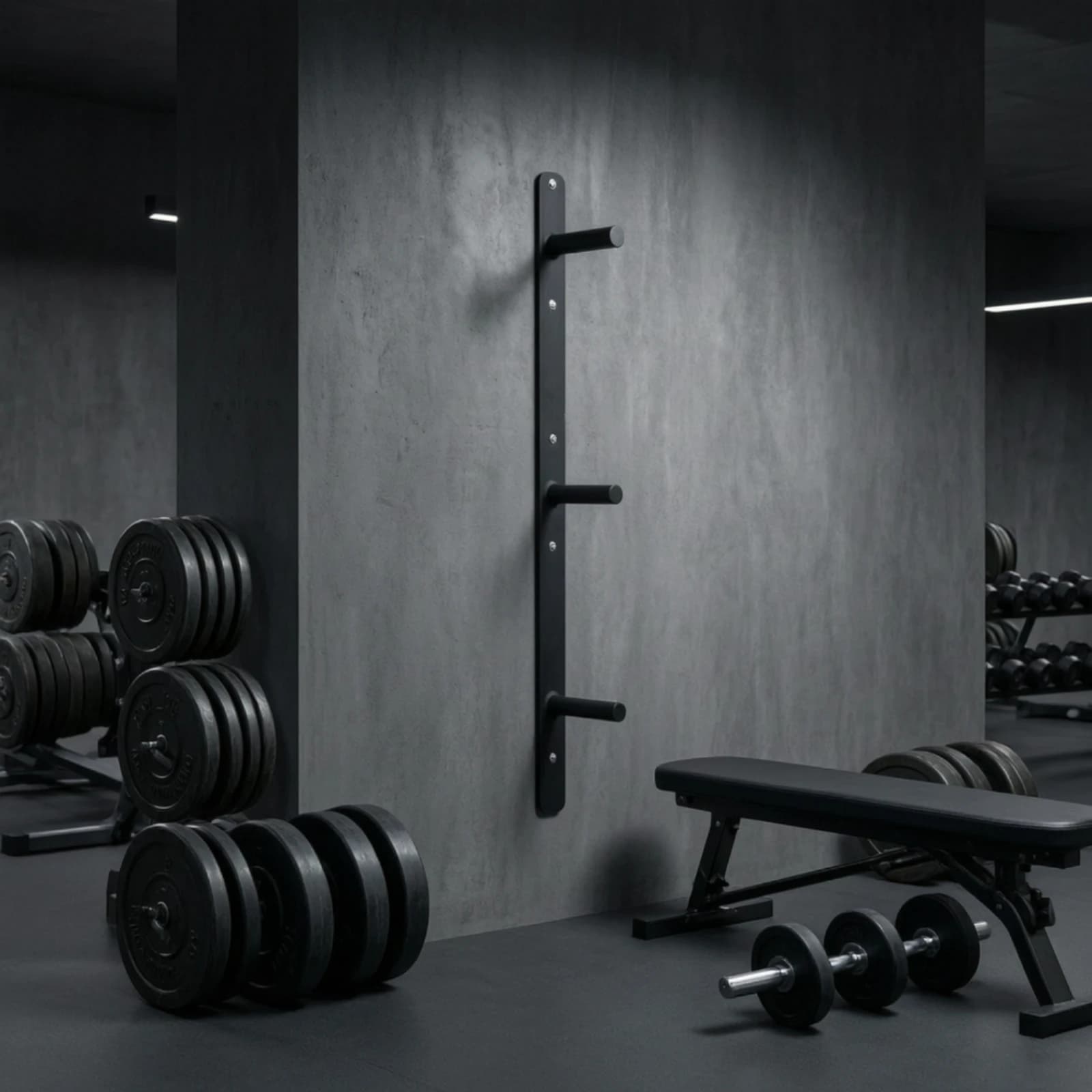 Weight Plate Storage Rack Compact Wall Mounted Weight Plate Storage Rack Gym Organizer with Peg Arms Sturdy Easy Installation