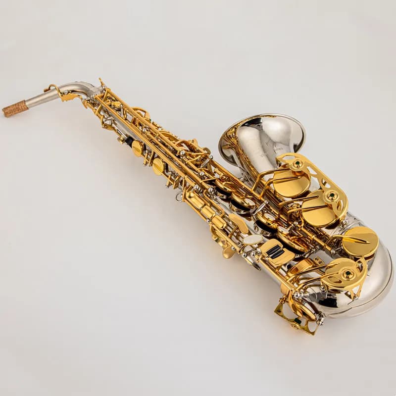 NEW Japan Saxophone AW037 Alto Saxophone Nickel Plated Gold Key Professional Sax Mouthpiece With Case and Accessories