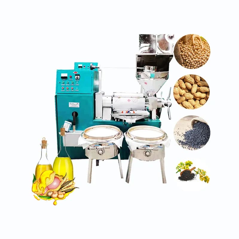 Pressa per Olio Industriale a Freddo per Uso Domestico, per Cannello e Semi di Girasole, in Offerta