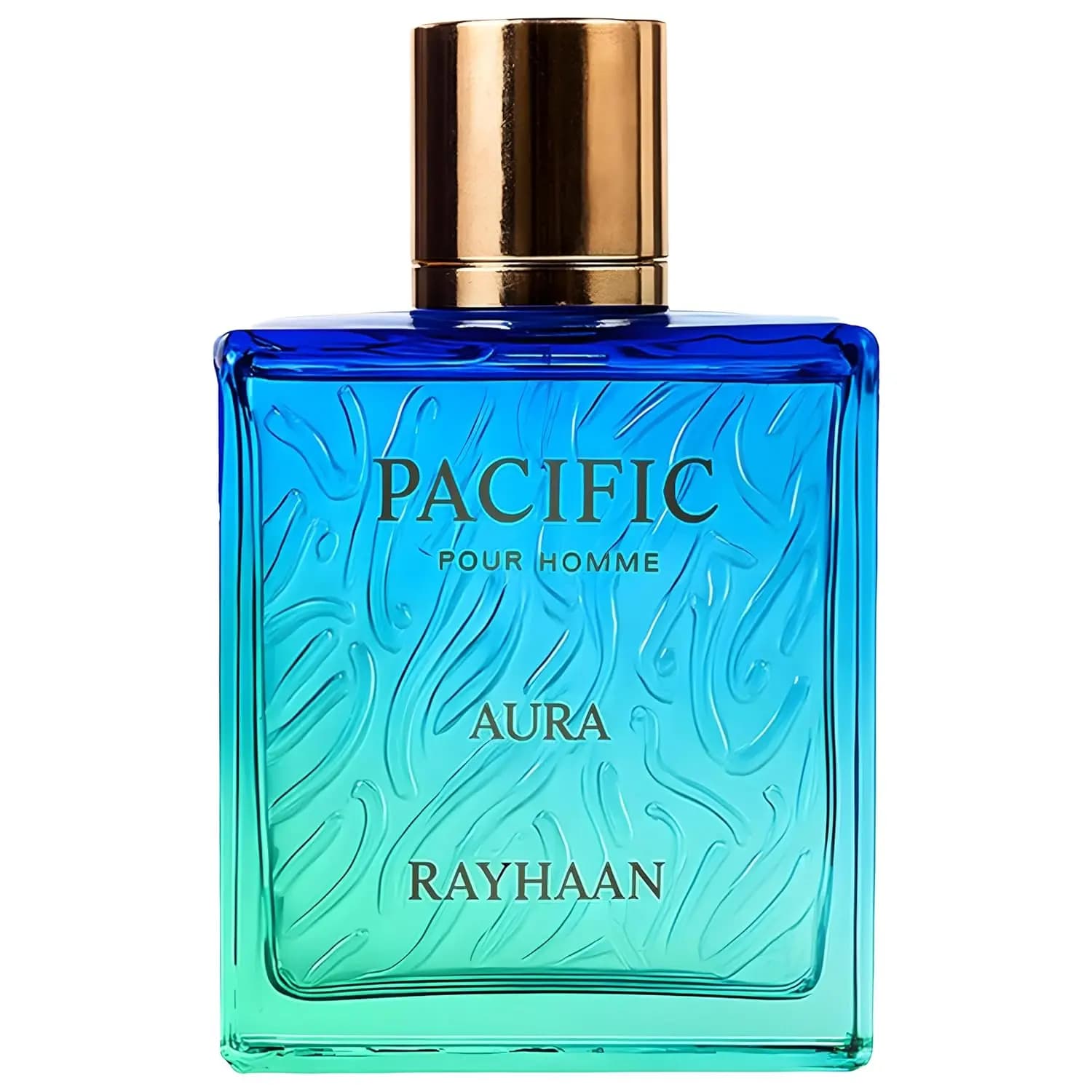 Rayhaan Pacific Aura 3.4oz 100ml Eau de Parfum Spray da uomo, Basilico Rosa Carota Seme Fico Ambra Ambroxan Fragranza a lunga durata
