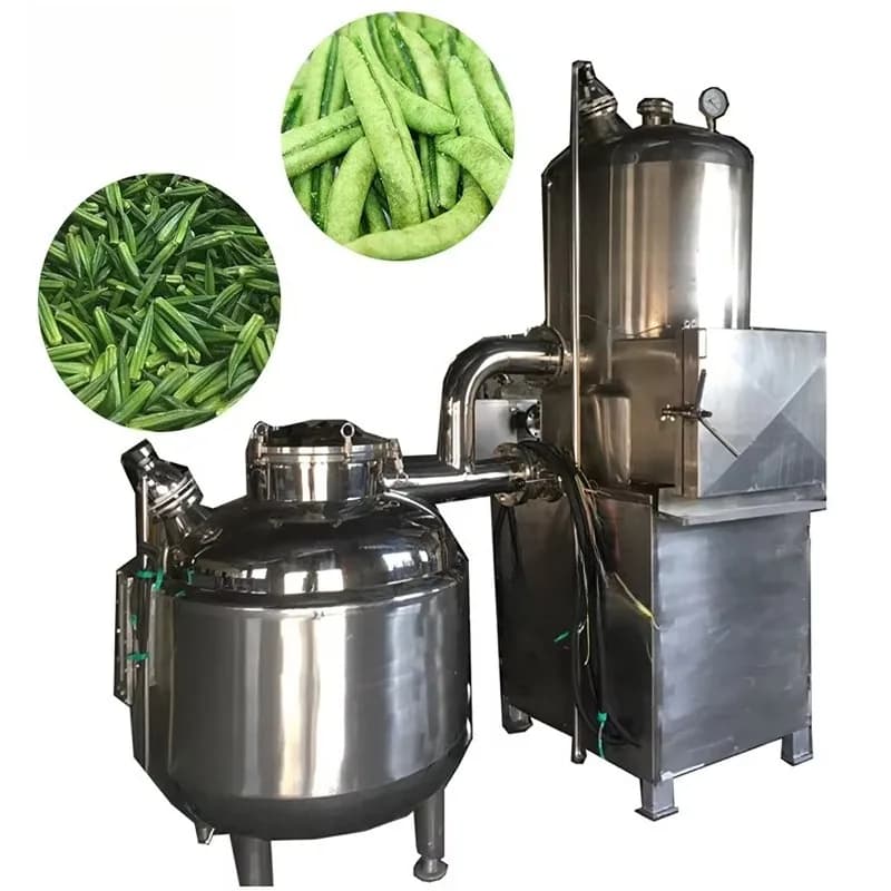 Macchina per Frittura Sottovuoto Versatile Personalizzata per Piccoli Lotti di Patatine e Frutta Secca e Verdure