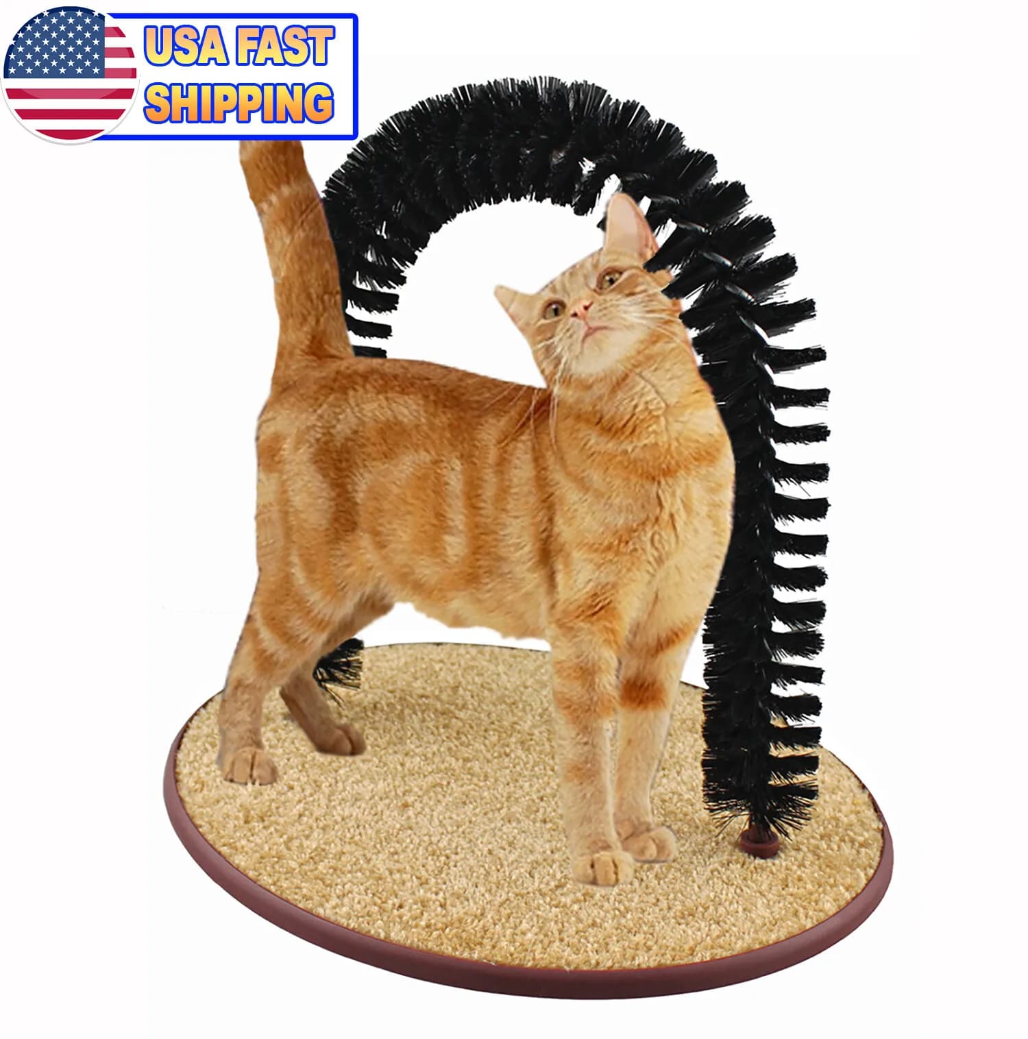 Toy Cat Self Brushing Deshedding Perfect Cat Self Scratching And Grooming