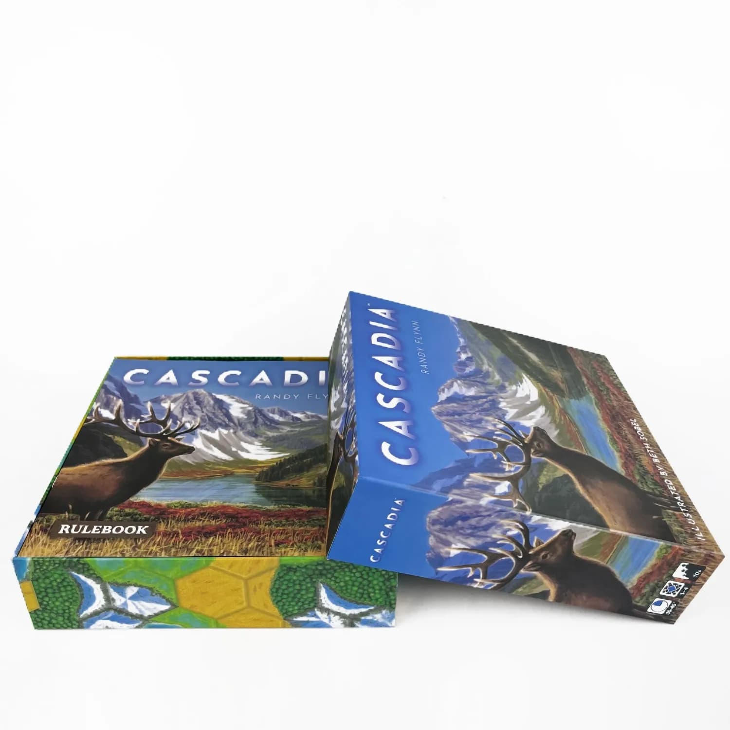 Hang Kun Cascadia Board Game Set - English Chess Version Easy to Learn Fast Game Educational Fun for 1-4 Players Ideal for Adult