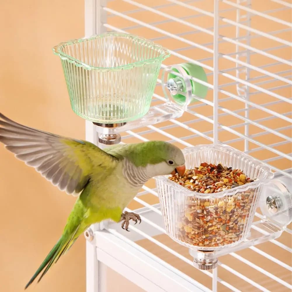 Contenitore per Cibo per Uccelli Trasparente, Mangiatoia Magnetica Anti-Ribaltamento e Anti-Schizzi, Ciotola Rimovibile per Pappagalli, Accessorio per l'Alimentazione degli Animali