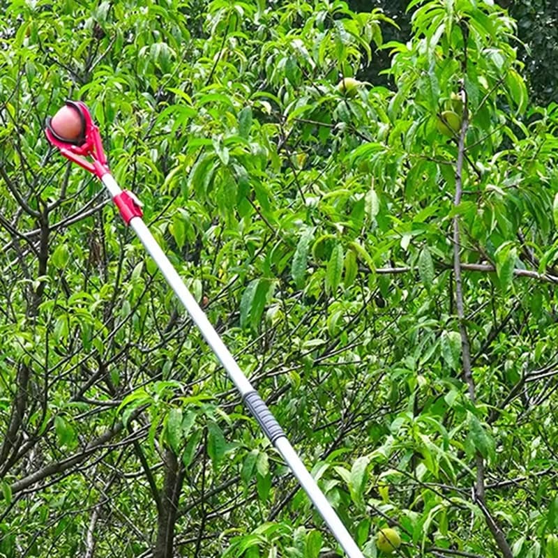 Strumenti per la raccolta delle mele Palo telescopico per la raccolta della frutta Artiglio ad alta quota Pesca Tre artigli Dispositivo per la raccolta della frutta Strumenti per l'agricoltura