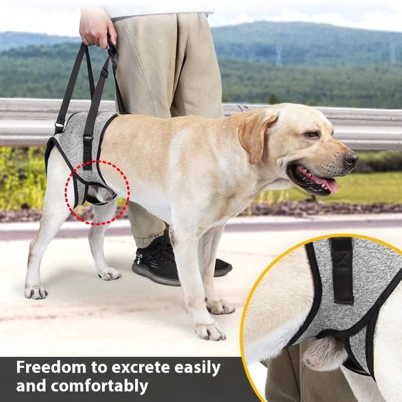 Pet Dog Rear Leg Support Harness Adjustable Rehabilitation Sling for Injured Senior Dogs Assistive Mobility Aid Dog Harness