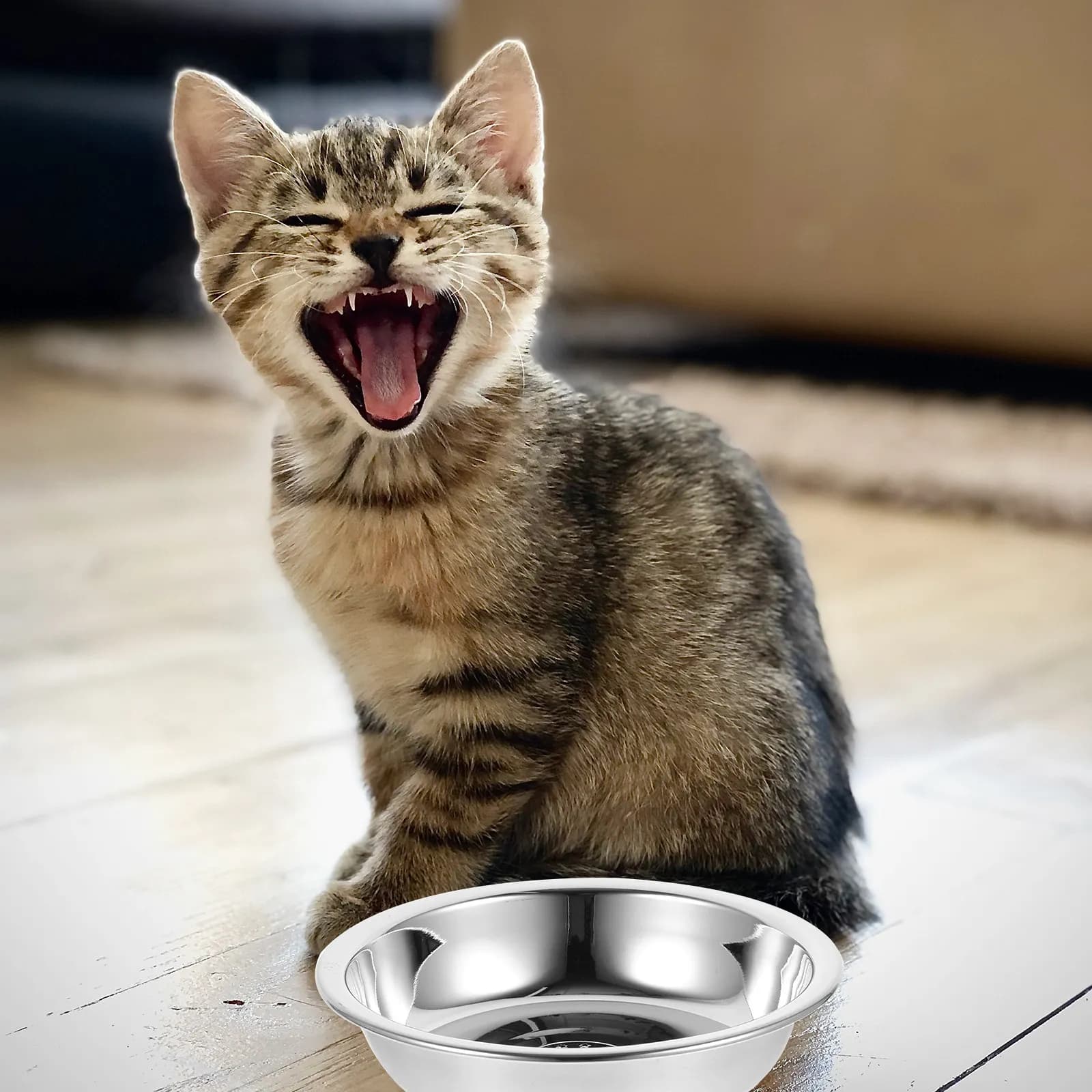 Set di 5 Ciotole per Animali in Acciaio Inox, Contenitore per Cibo per Cani e Gatti, Stabile e Antiribaltamento, Ciotola Riutilizzabile per Acqua per Cuccioli