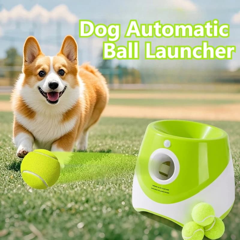 Lanciatore Automatico di Palline per Cani, Macchina Interattiva per Lanciare Palline da Tennis, Giocattoli per Stimolazione Mentale