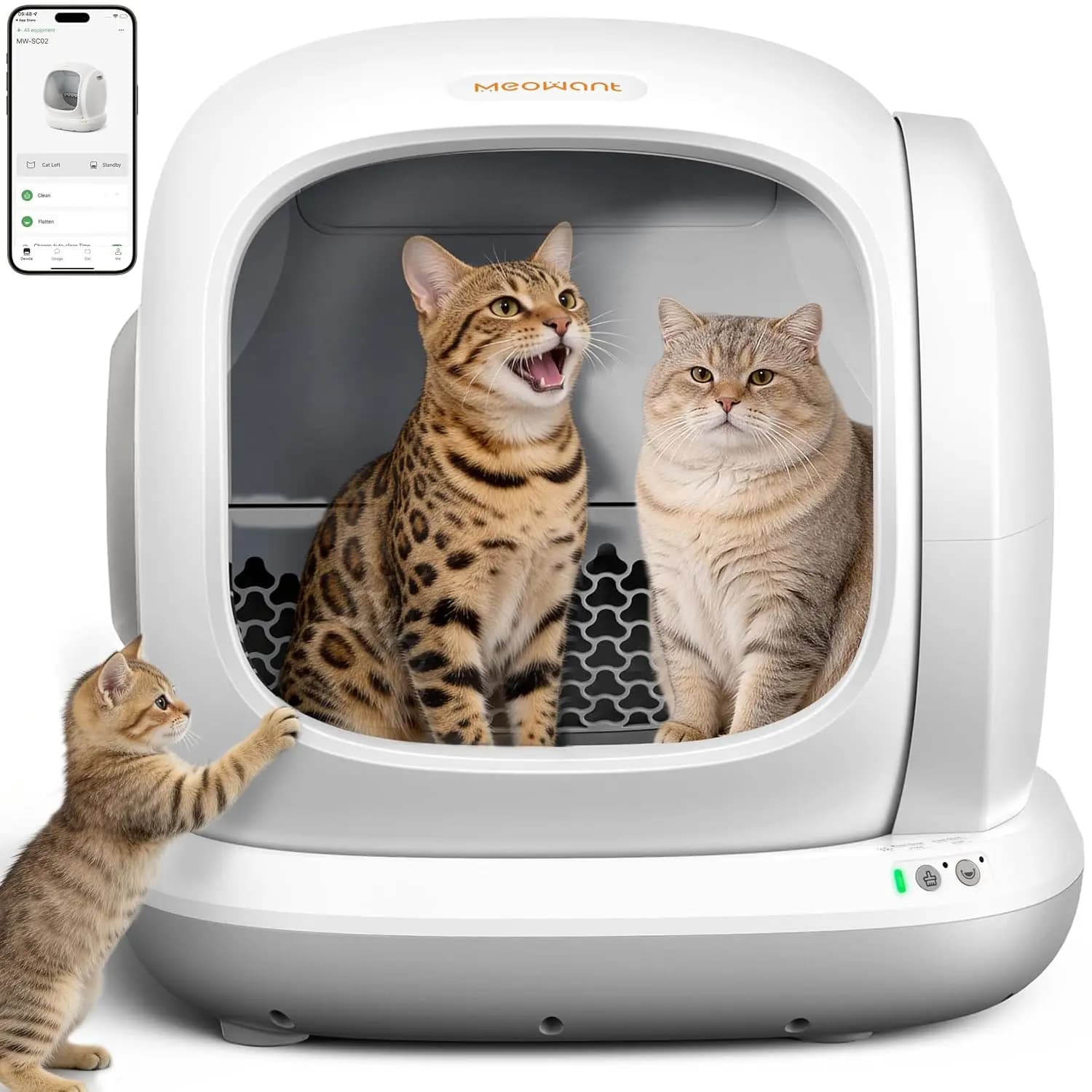 75L Extra Large Open Automatic Cat Litter Box Multi Cats, APP Control & Odor Removal, Anti-Pinch, Low Entry, Gray, Customized